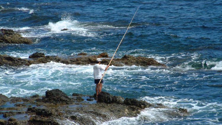 Blue Azores chega à Graciosa para debater as Áreas Marinhas Protegidas